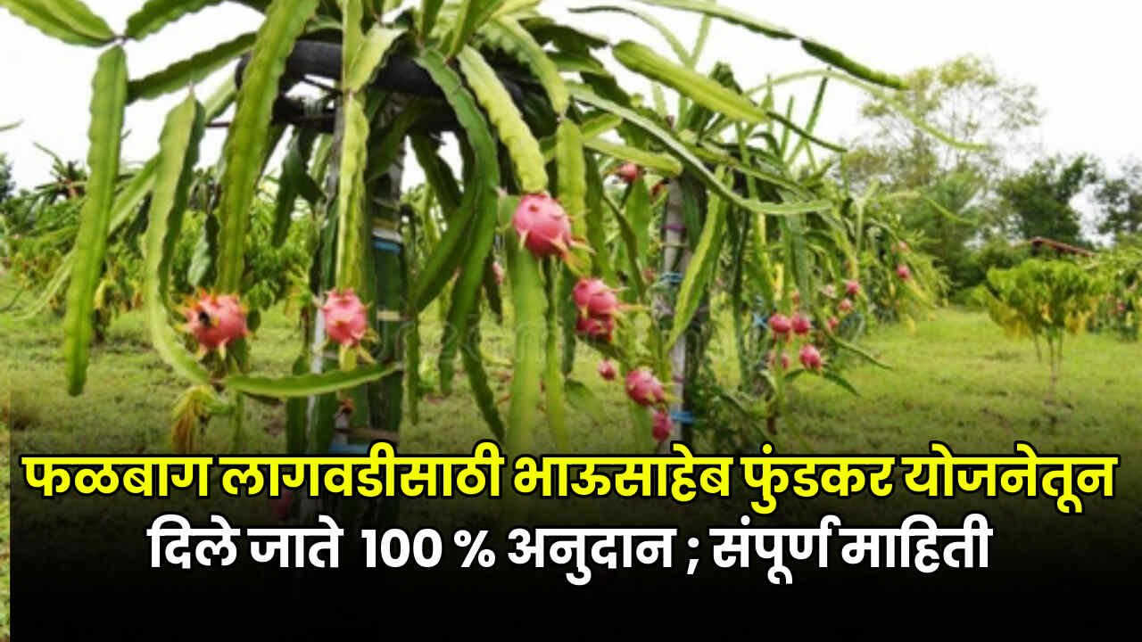 Bhausaheb Fundkar Falbag Yojana 2024