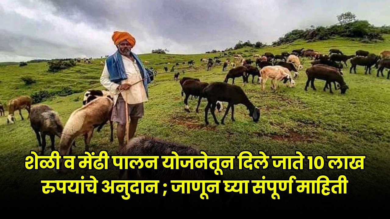 Sheli Mendhi Palan Yojana 2024