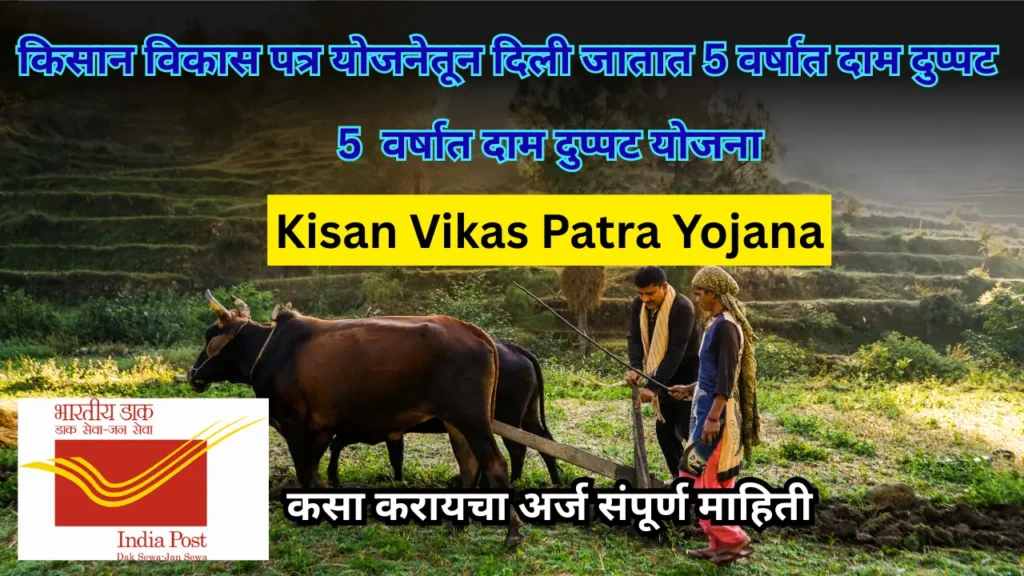 किसान विकास पत्र योजनेतून  दिली जातात 5 वर्षात दाम दुप्पट ; असा करा अर्ज : Kisan Vikas Patra Yojana 2024