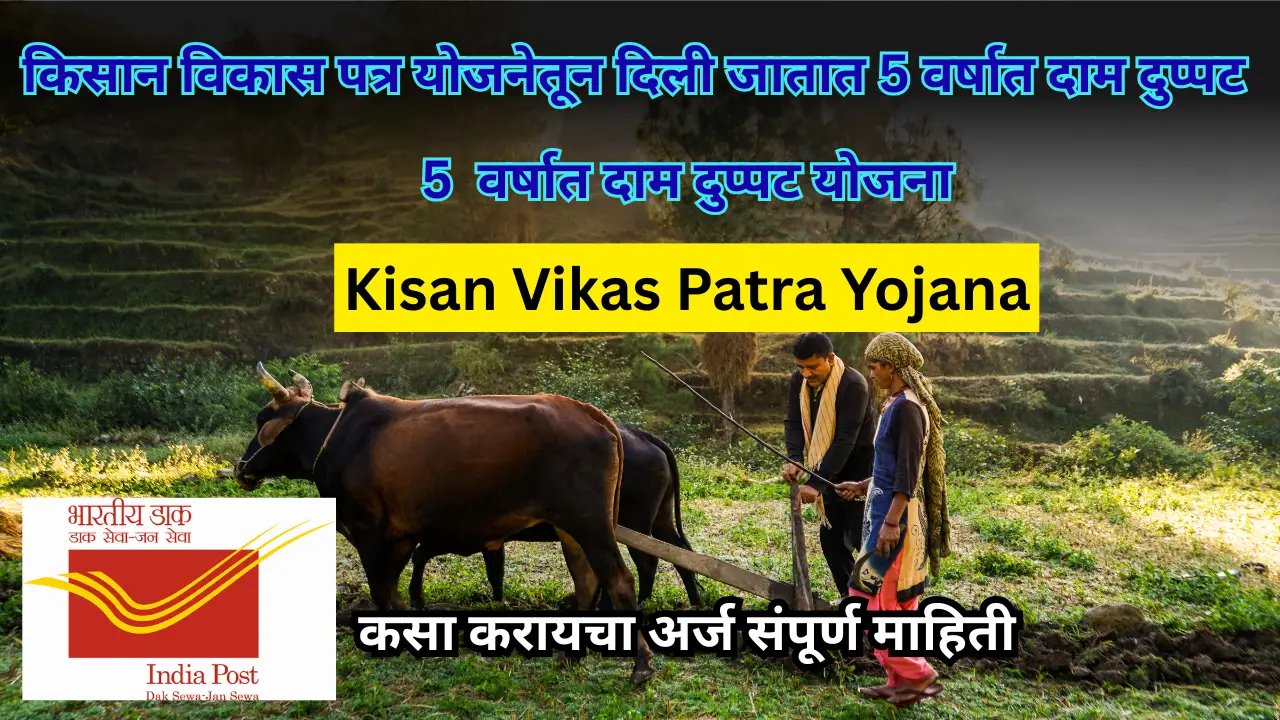किसान विकास पत्र योजनेतून दिली जातात 5 वर्षात दाम दुप्पट ; असा करा अर्ज : Kisan Vikas Patra Yojana 2024